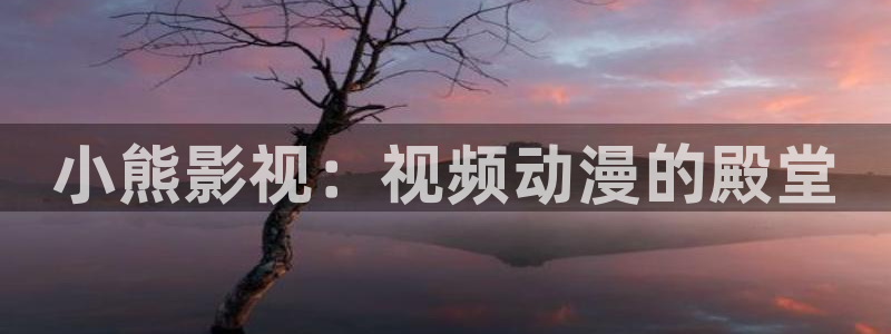老湿影院48：小熊影视：视频动漫的殿堂