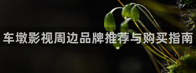 老湿影院首页