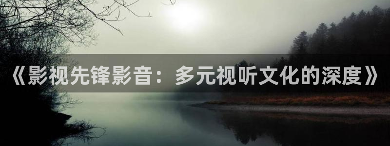 老湿影院免费x看：《影视先锋影音：多元视听文化的深度》