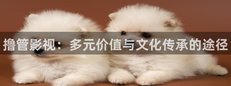 老湿影院福利在线：撸管影视：多元价值与文化传承的途径