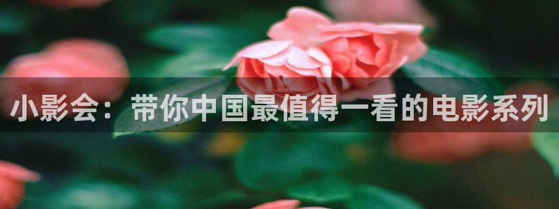 老湿影院高清：小影会：带你中国最值得一看的电影系列