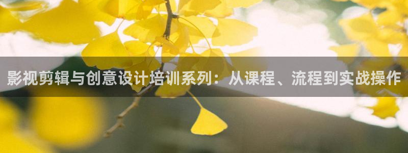 老湿影视在线观看