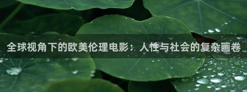 老湿机私人影院