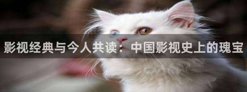 午夜影院老湿影院
